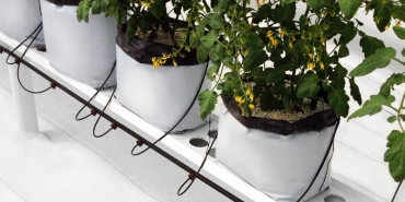 greenhouse-organics-1