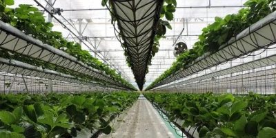 greenhouse-equipment-7