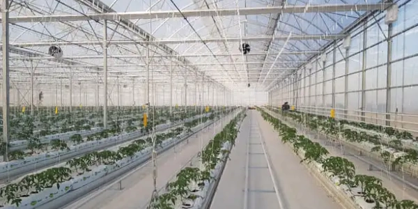 multibays-4_1134950837