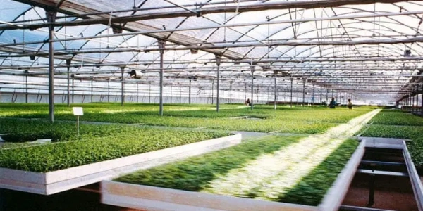 tray-stillage-2_1310786417