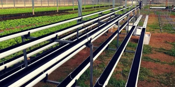 tray-stillage-3_1330239677