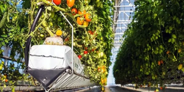 tray-stillage-4_862722890