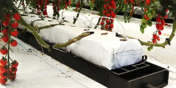 tray-stillage-5_2076565890